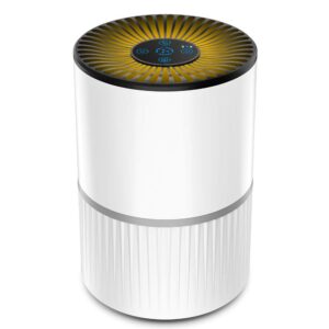 oczyszczacz powietrza himylife z amazona