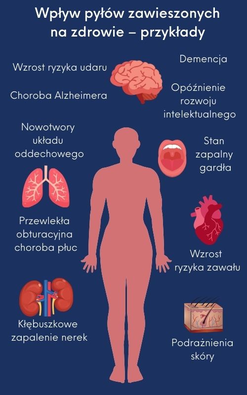 Wpływ pyłów zawieszonych na zdrowie - ikonografika