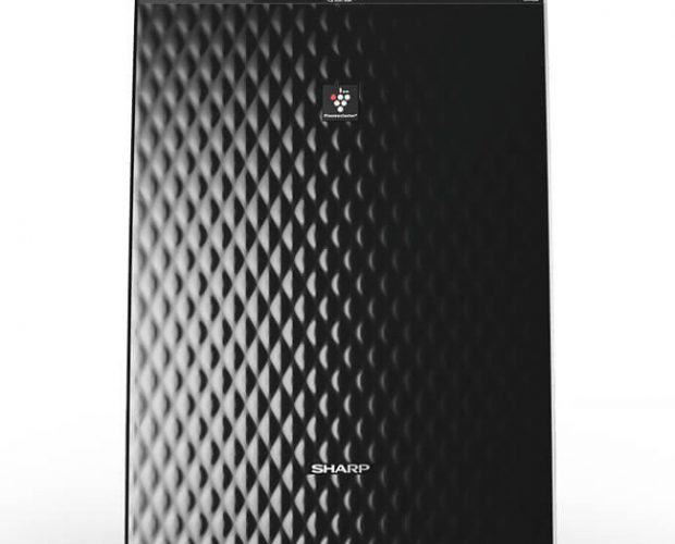 Oczyszczacz powietrza Sharp UA-HG30E-B